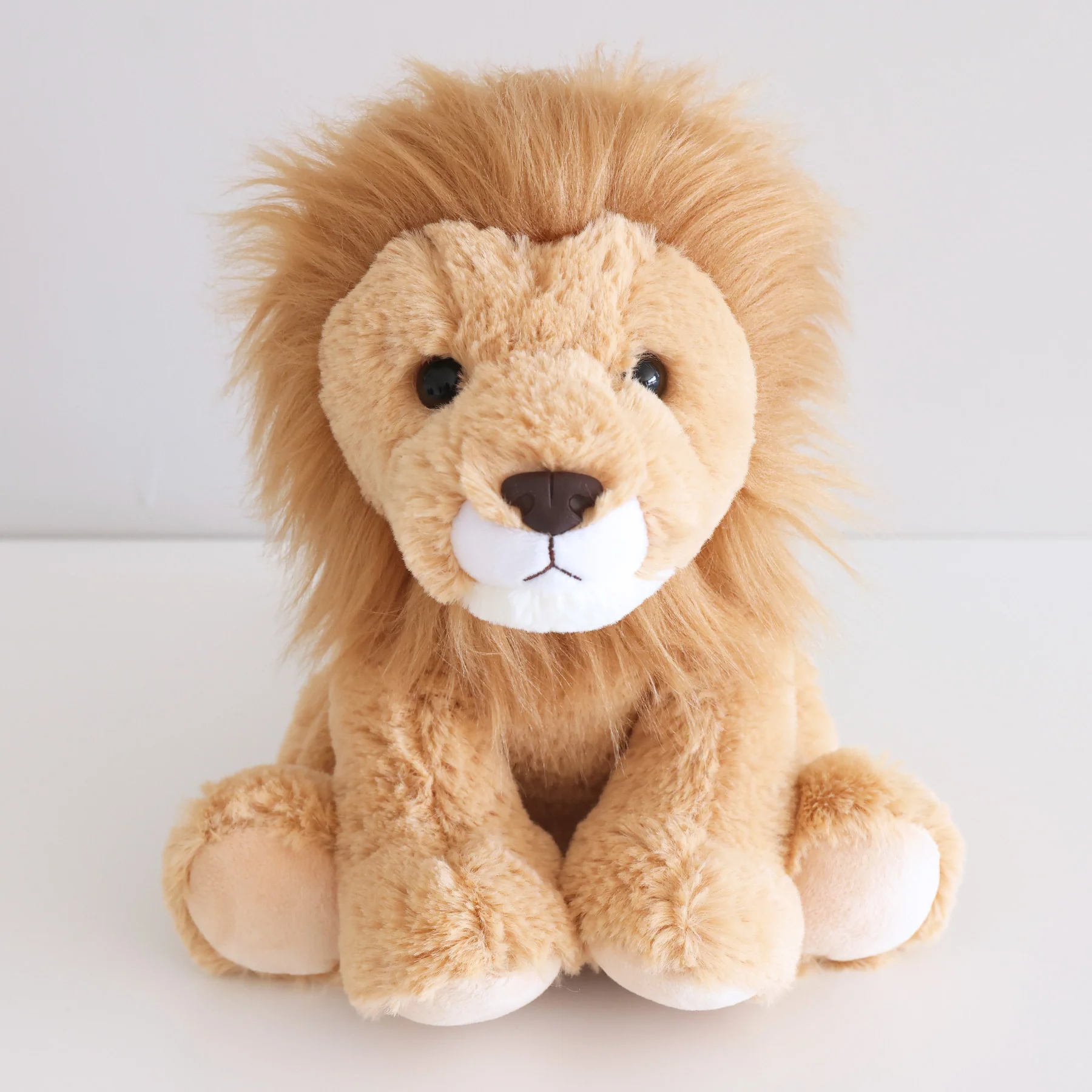 Rory Lion