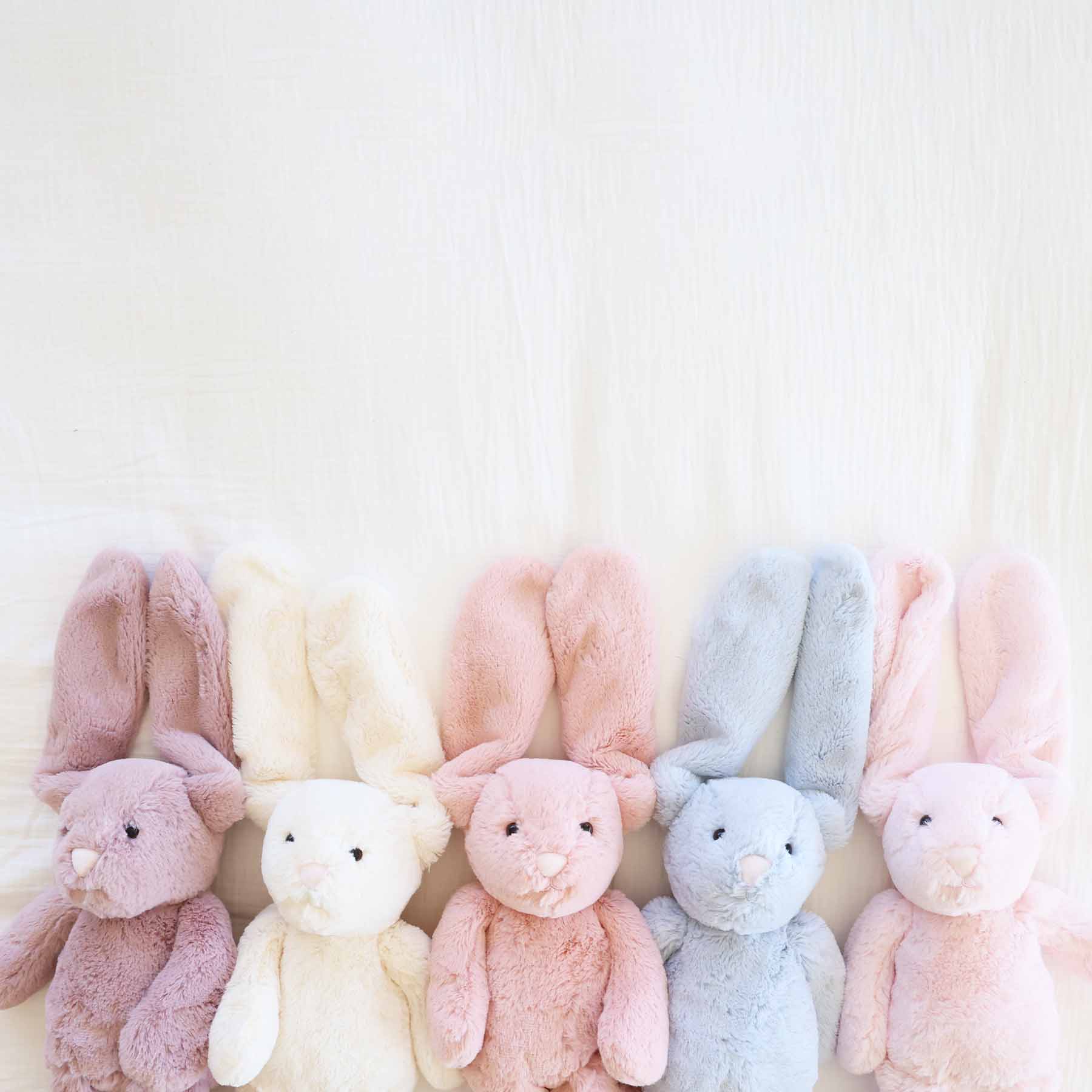 Large Cuddle Plush Friends | Honey Bunny