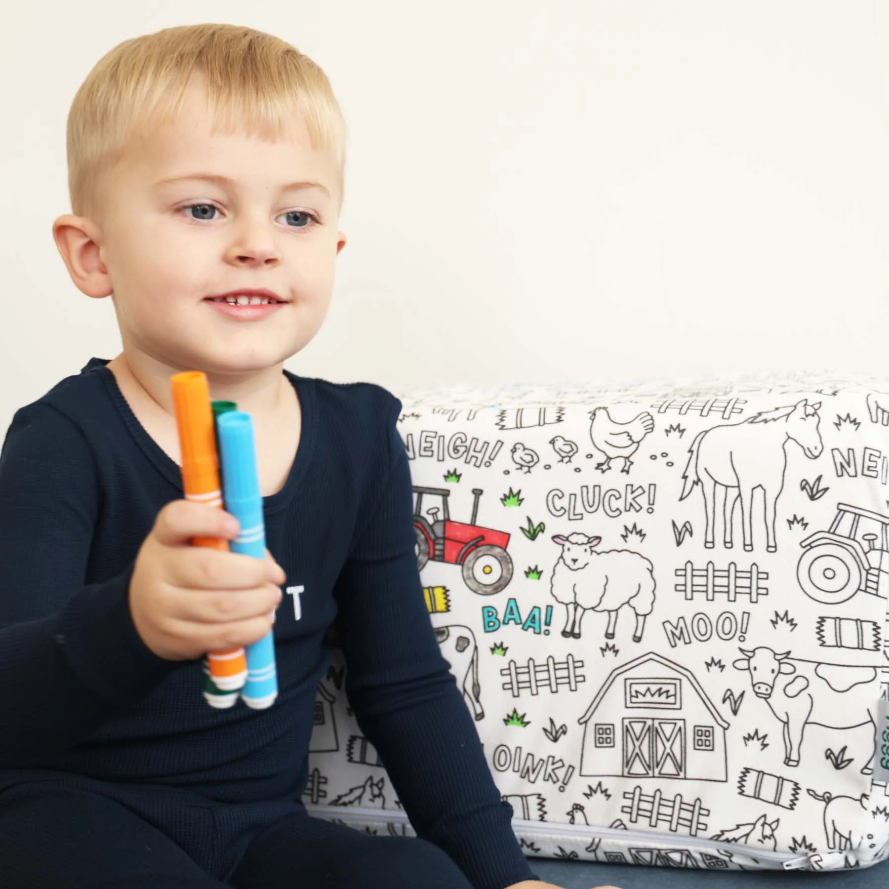 14499-the-figgy-rectangle-pillow-pack-2-pc-x-caden-lane-1.jpg