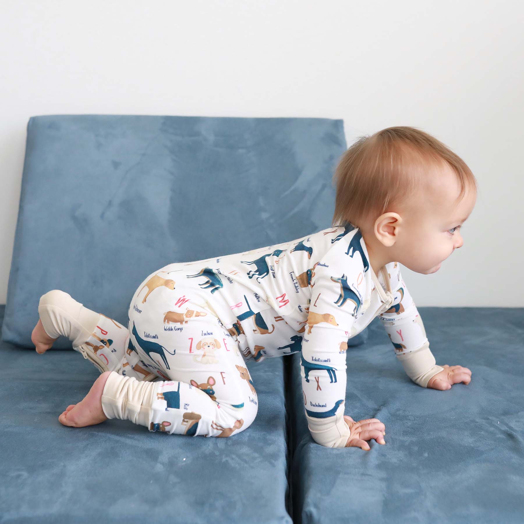6652-abc-paw-ty-convertible-zip-romper-1.jpg