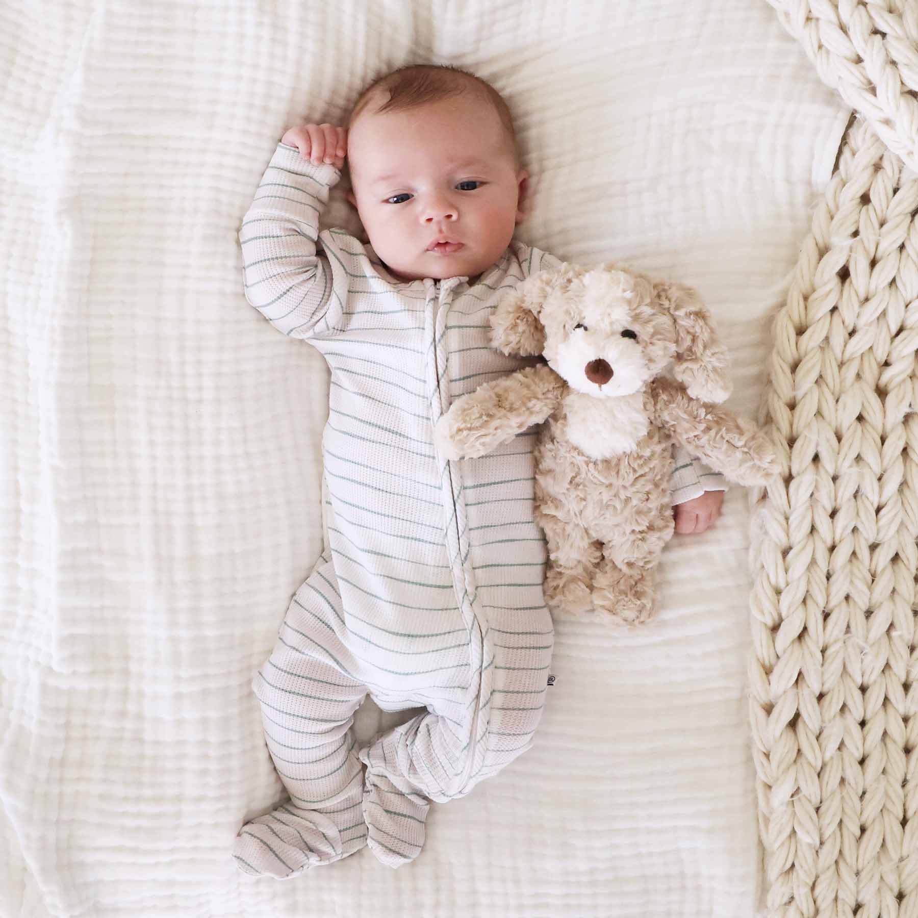 Cuddle Plush Friends | Parker Puppy
